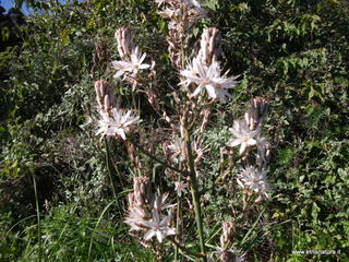 rco Gioeni-08-02-2013 11-09-40